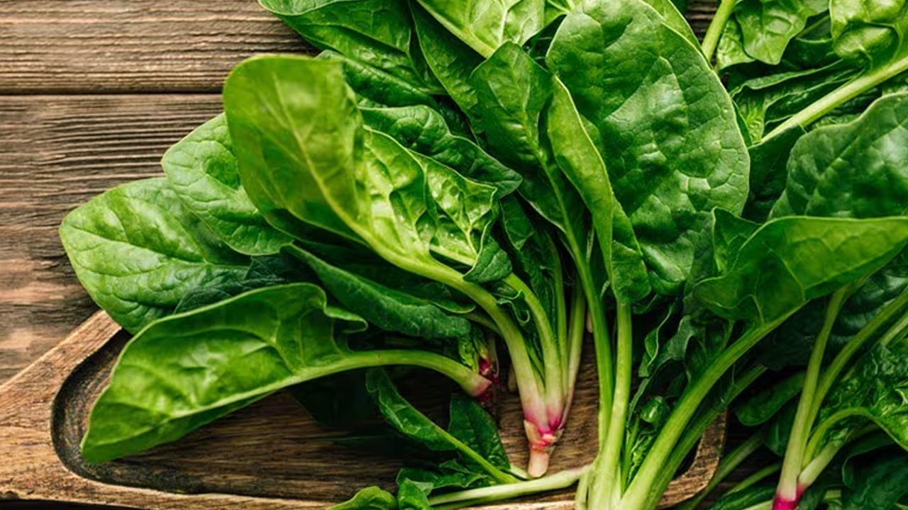 Foto - Kışın ıspanak tüketmeyen pişman olur: Faydaları uzman isimleri şaşırtıyor! Kanser tedavisinde kilit rol oynayabilir