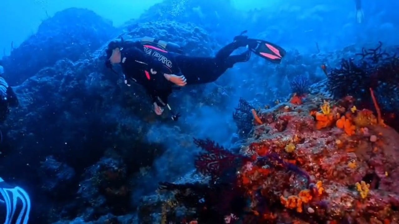 Foto - Kısıtlı alanlar dalışa açıldı Dalış turizmine sevindirici haber Ayvalık’tan geldi