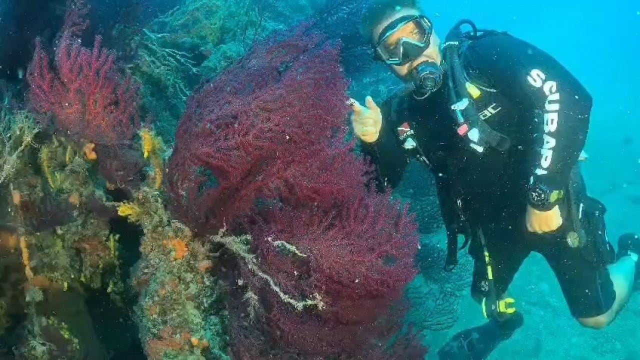 Foto - Kısıtlı alanlar dalışa açıldı Dalış turizmine sevindirici haber Ayvalık’tan geldi
