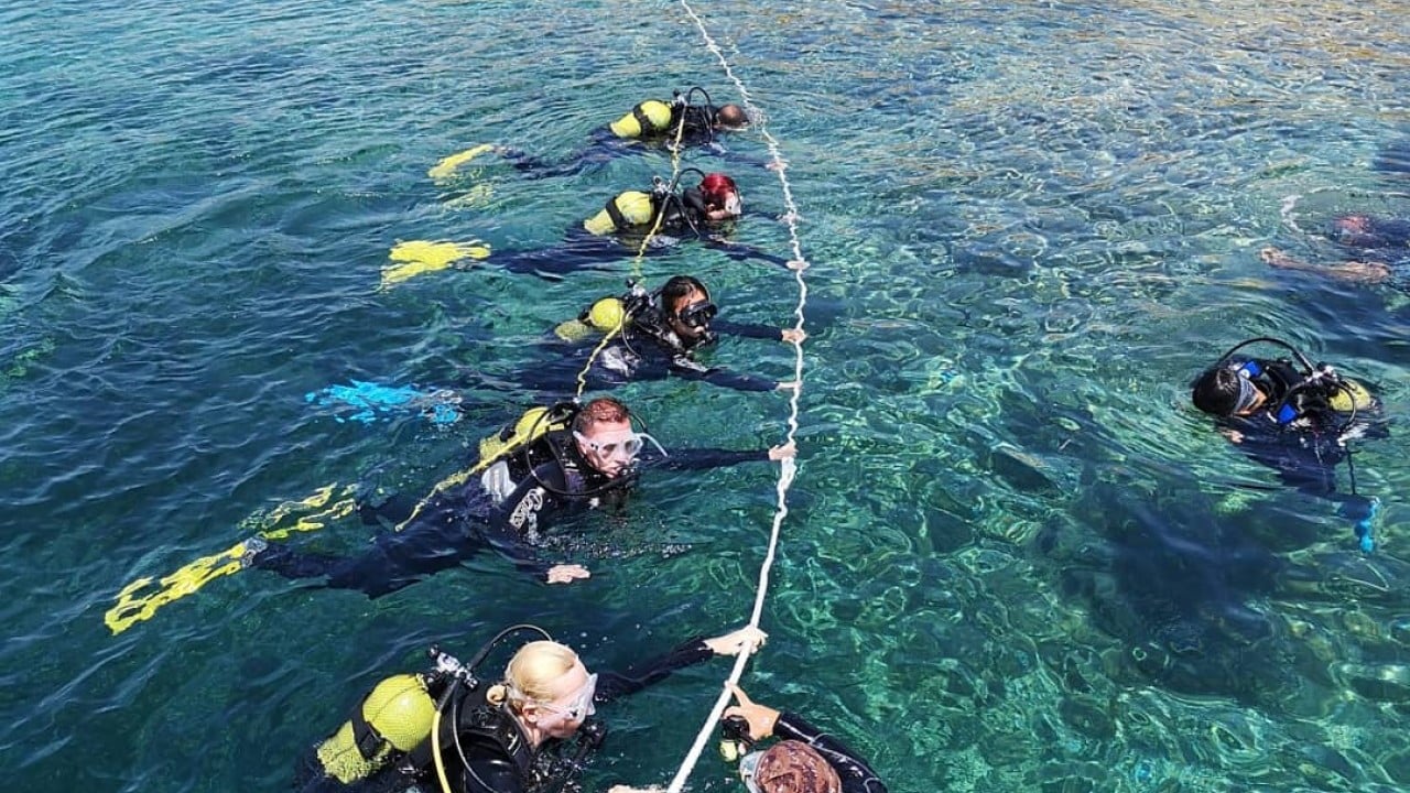 Foto - Kısıtlı alanlar dalışa açıldı Dalış turizmine sevindirici haber Ayvalık’tan geldi