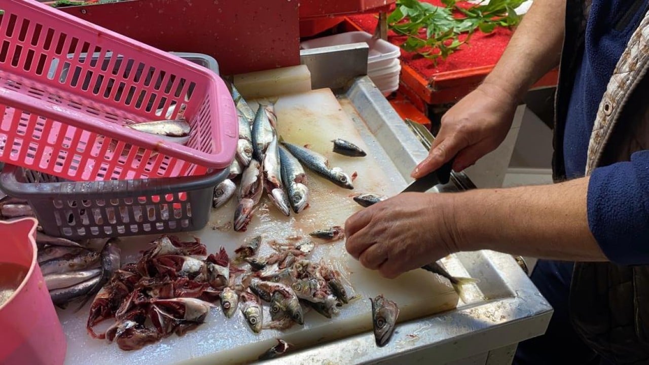 Foto - Kıvrıksa patlak değilse tazedir