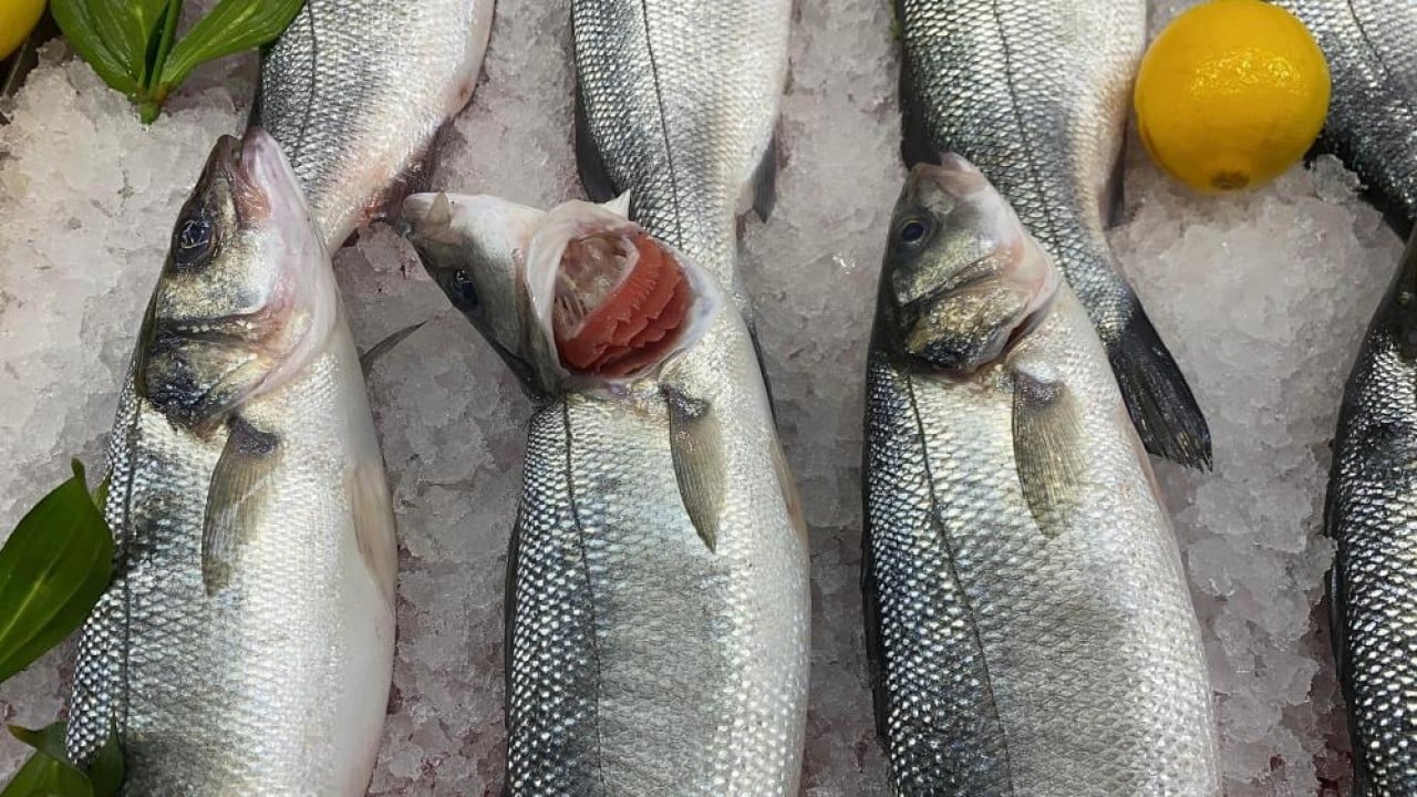 Foto - Kıvrıksa patlak değilse tazedir