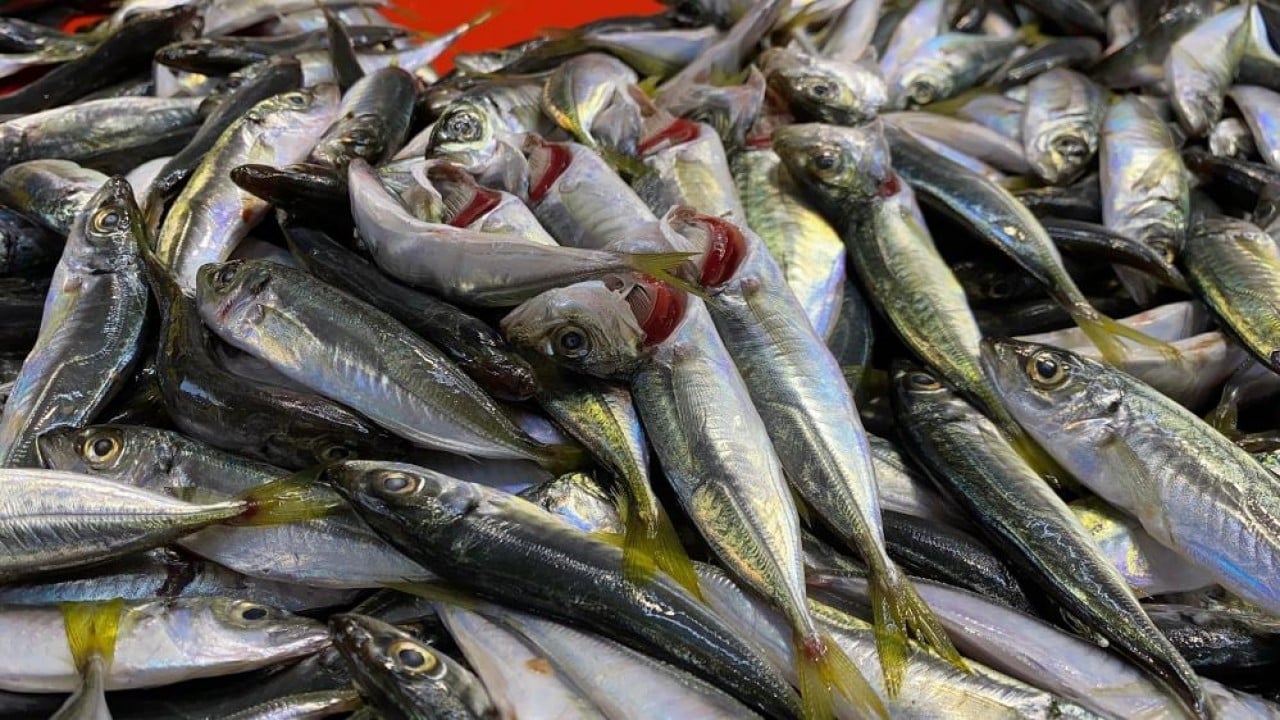 Foto - Kıvrıksa patlak değilse tazedir