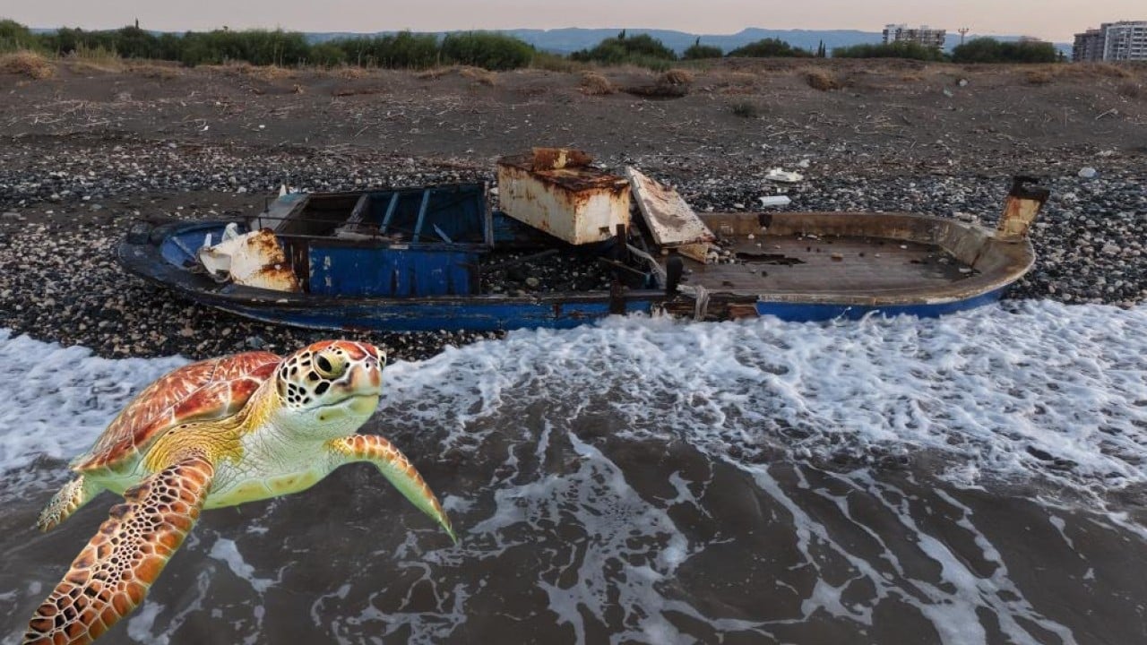 Kıyıya batık tekne vurdu! Caretta cerattaların yuvalama alanı tehlike altında