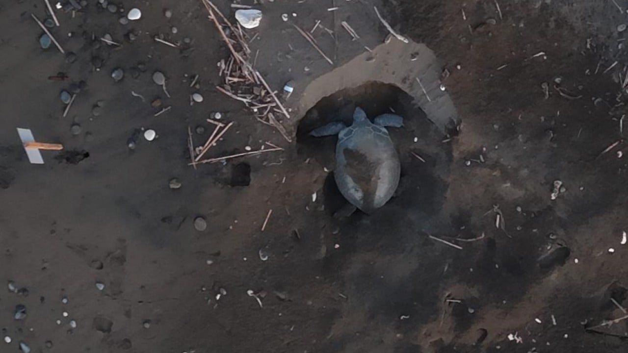 Foto - Kıyıya batık tekne vurdu! Caretta cerattaların yuvalama alanı tehlike altında