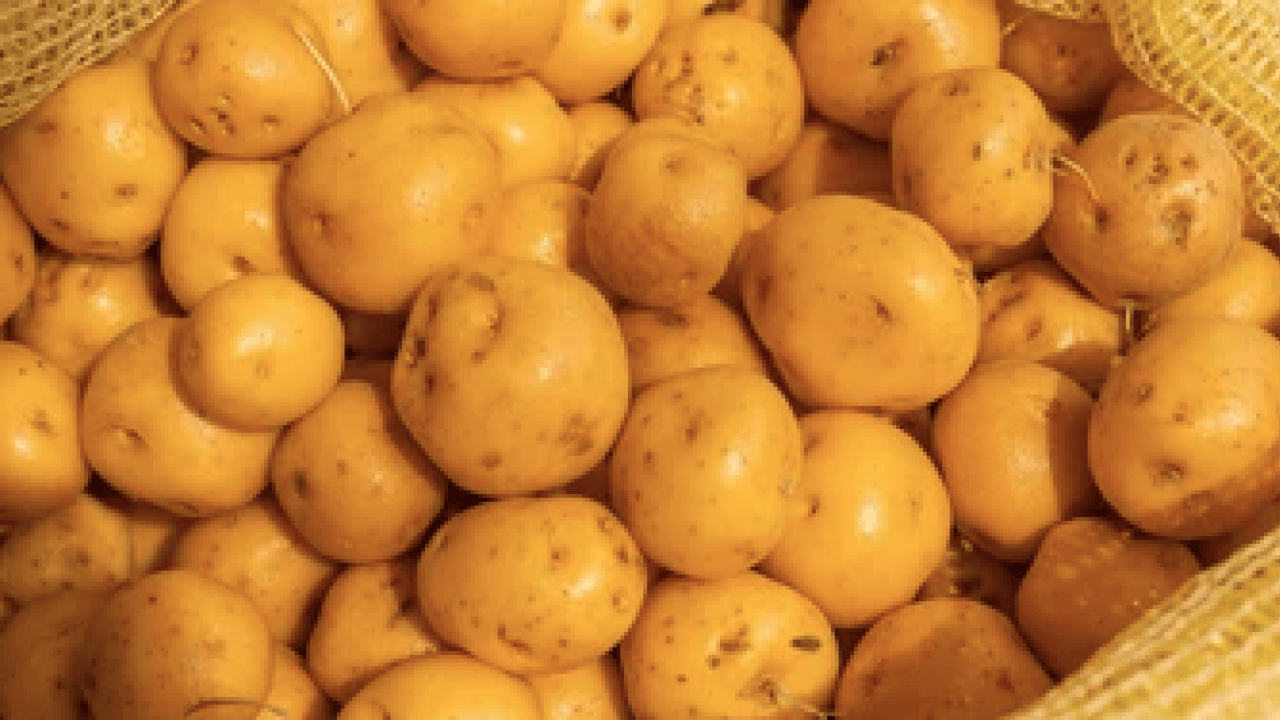 Foto - Kızartma, püre, fırın yemeği... Hangi patates sağlıklı? Turuncu mu sarı mı?