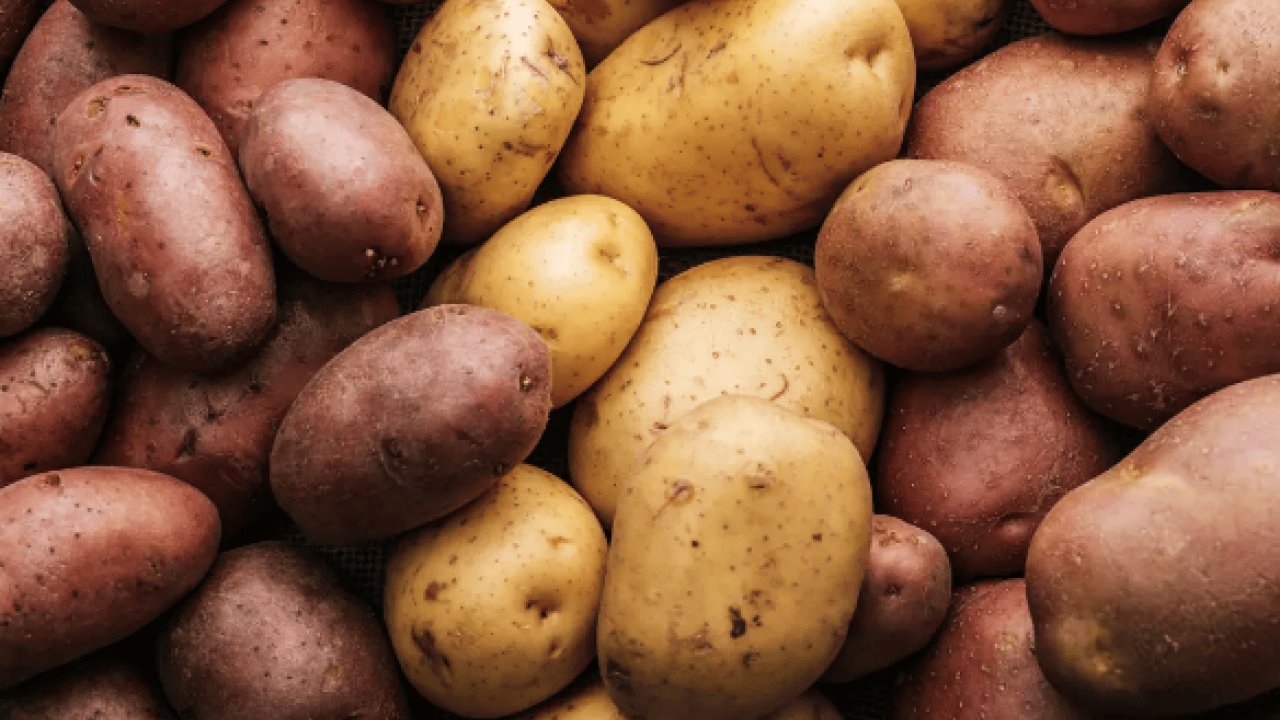 Foto - Kızartma, püre, fırın yemeği... Hangi patates sağlıklı? Turuncu mu sarı mı?