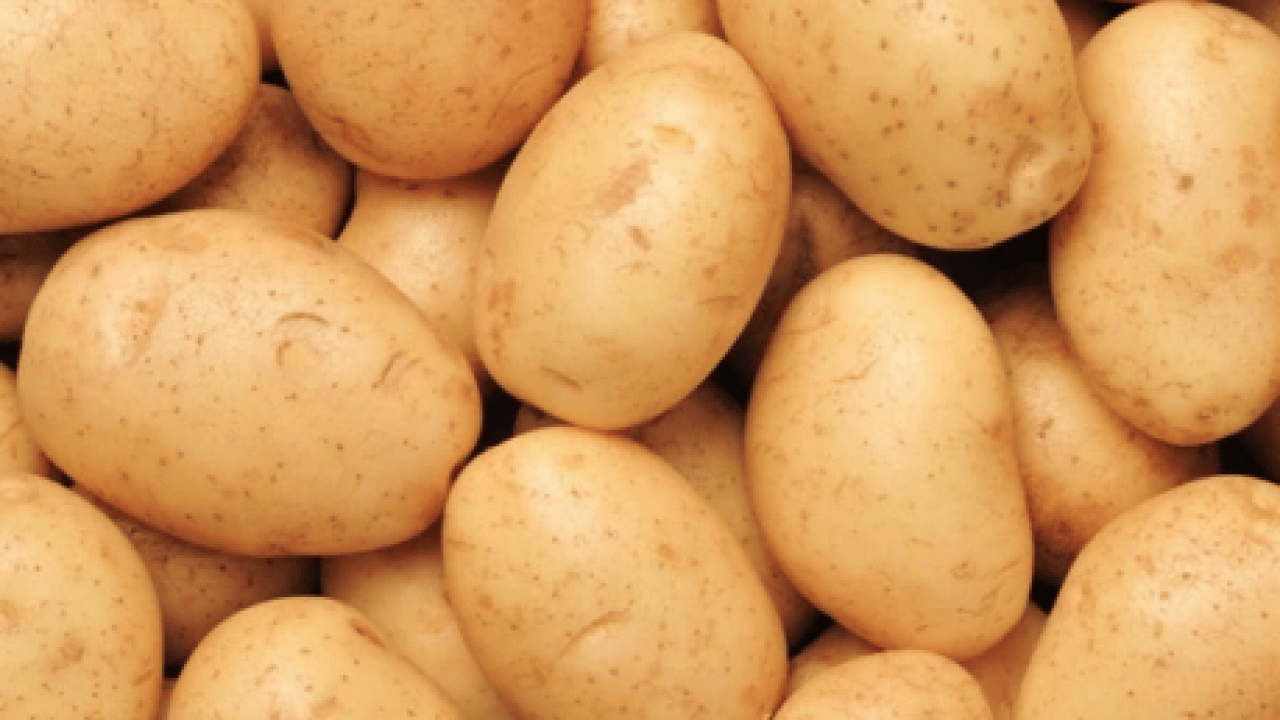 Foto - Kızartma, püre, fırın yemeği... Hangi patates sağlıklı? Turuncu mu sarı mı?