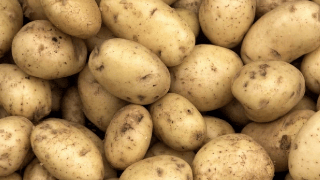Foto - Kızartma, püre, fırın yemeği... Hangi patates sağlıklı? Turuncu mu sarı mı?