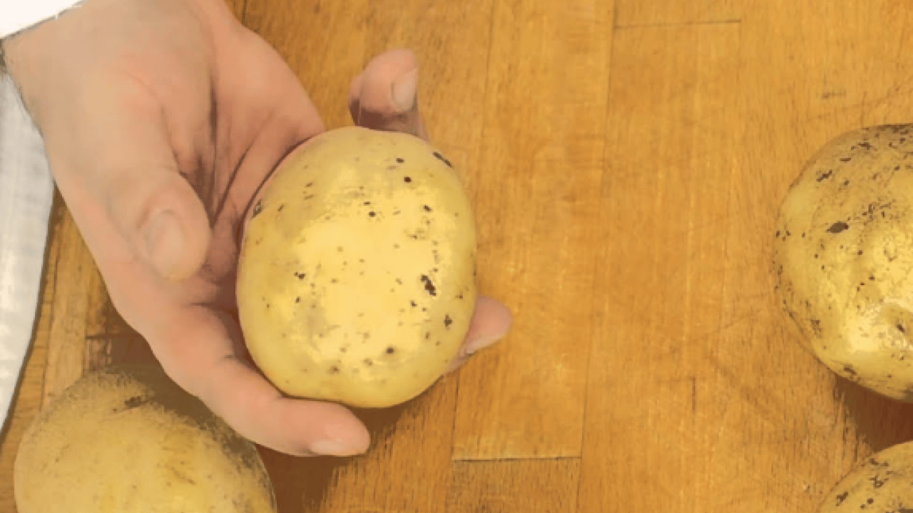 Foto - Kızartma, püre, fırın yemeği... Hangi patates sağlıklı? Turuncu mu sarı mı?
