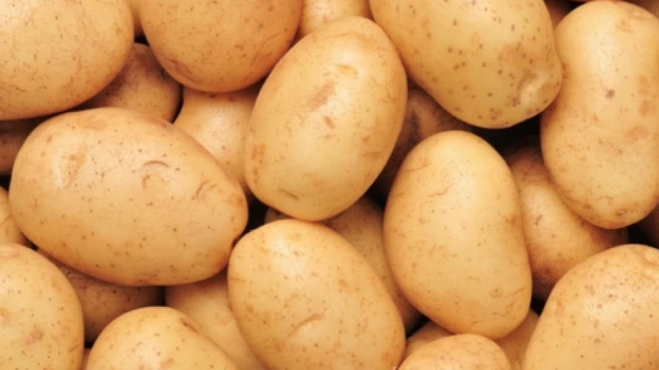 Foto - Kızartma, püre, fırın yemeği... Hangi patates sağlıklı? Turuncu mu sarı mı?