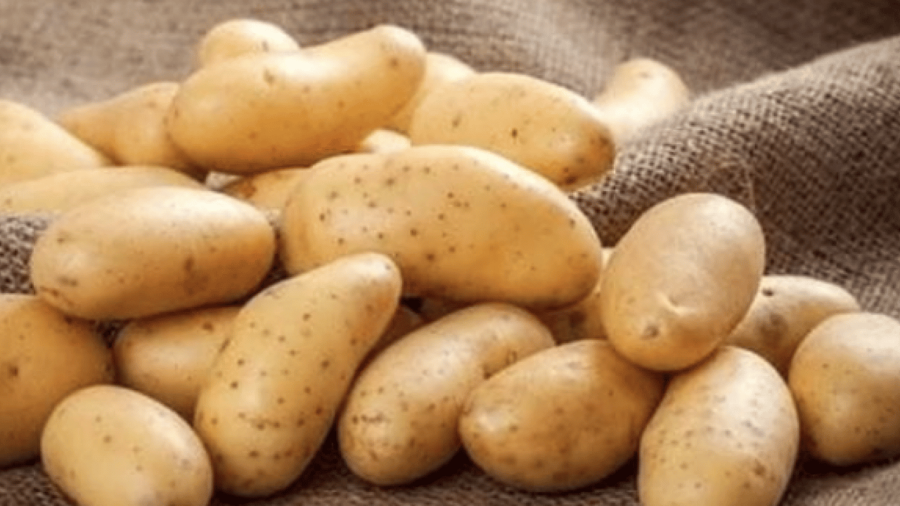 Foto - Kızartma, püre, fırın yemeği... Hangi patates sağlıklı? Turuncu mu sarı mı?