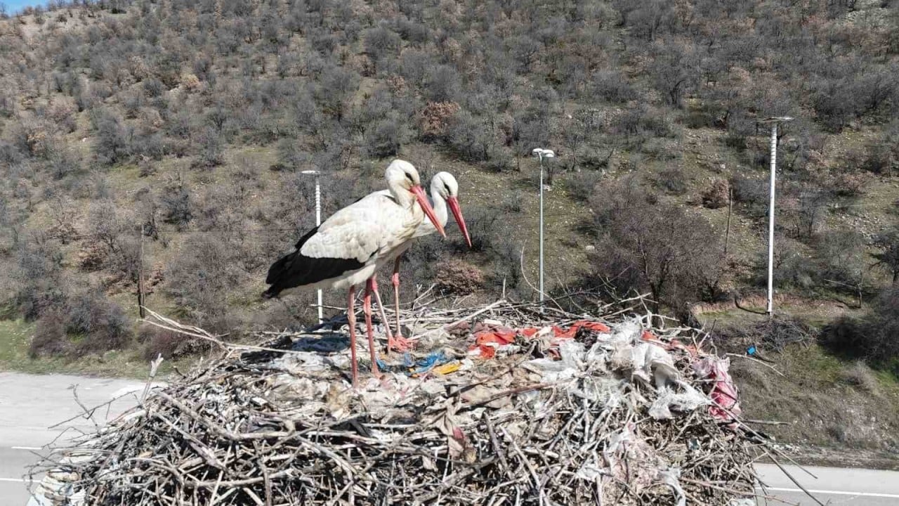 Kızılcahamam’da bahar bayramı başladı! 
