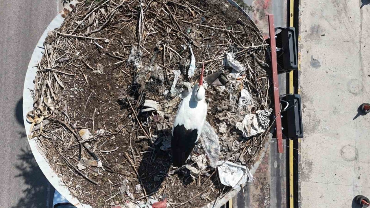 Foto - Kızılcahamam’da bahar bayramı başladı! 