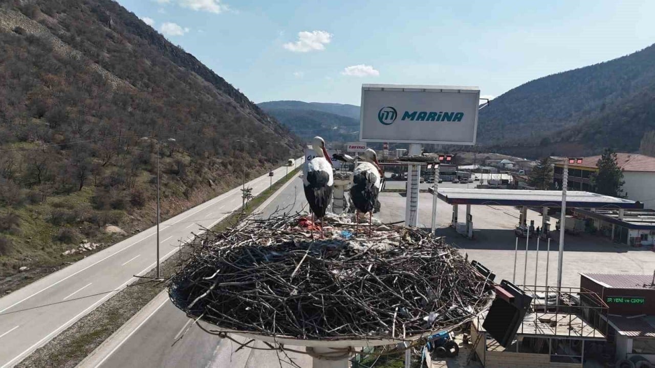 Foto - Kızılcahamam’da bahar bayramı başladı! 