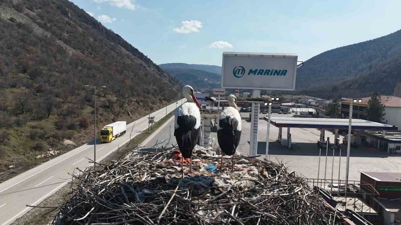 Foto - Kızılcahamam’da bahar bayramı başladı! 