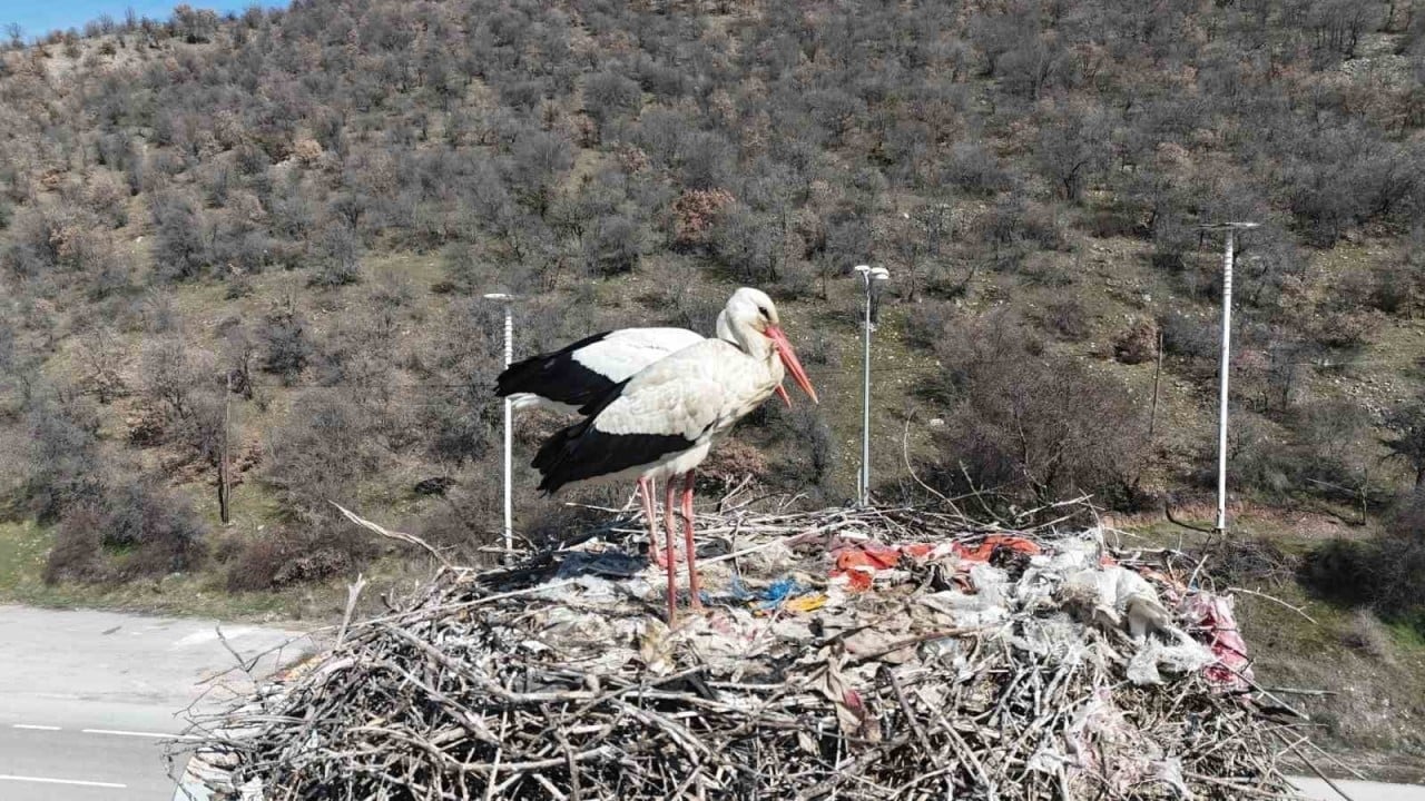 Foto - Kızılcahamam’da bahar bayramı başladı! 
