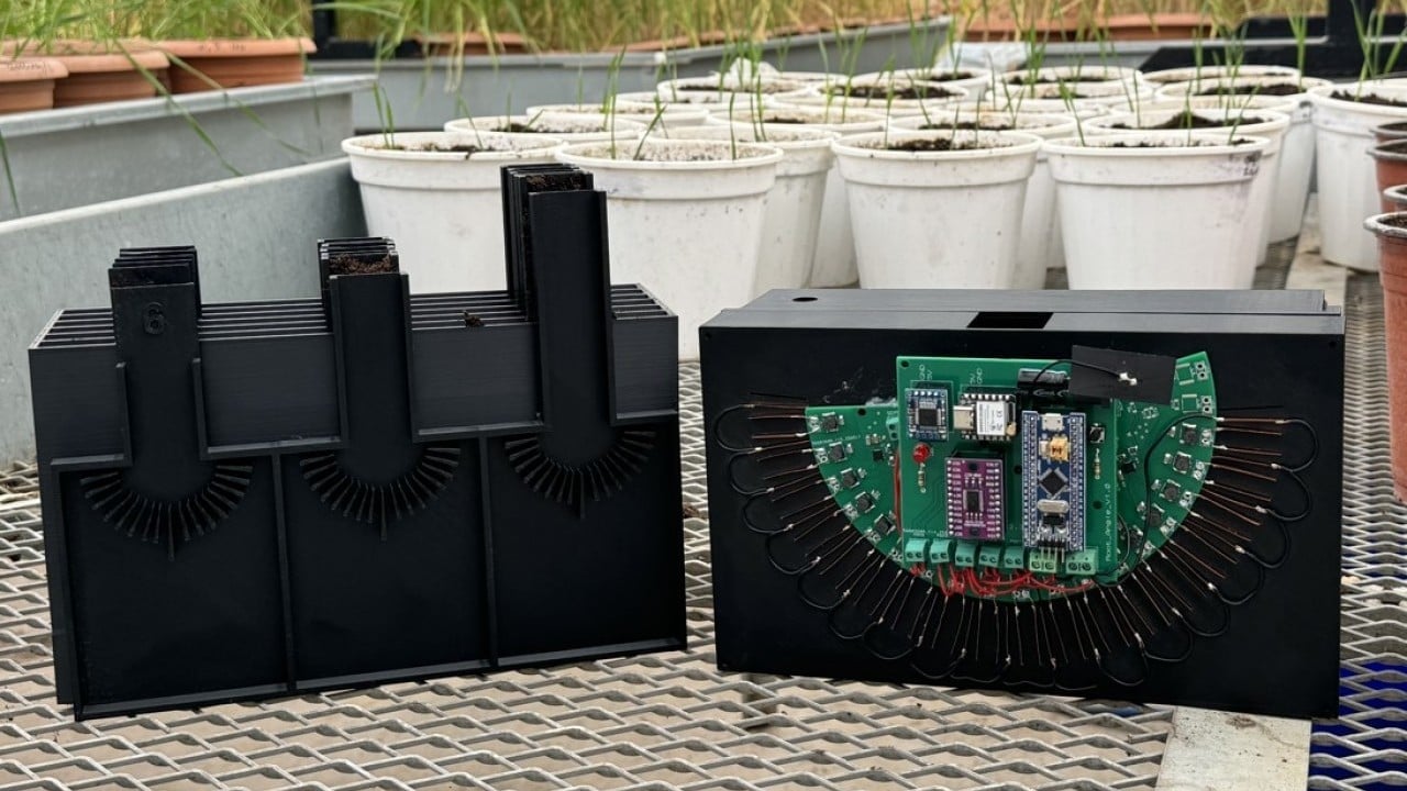 Foto - KMÜ’de buğday kök açılarını ölçen cihaz geliştirildi