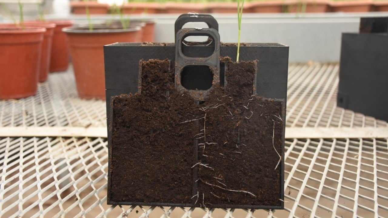 Foto - KMÜ’de buğday kök açılarını ölçen cihaz geliştirildi