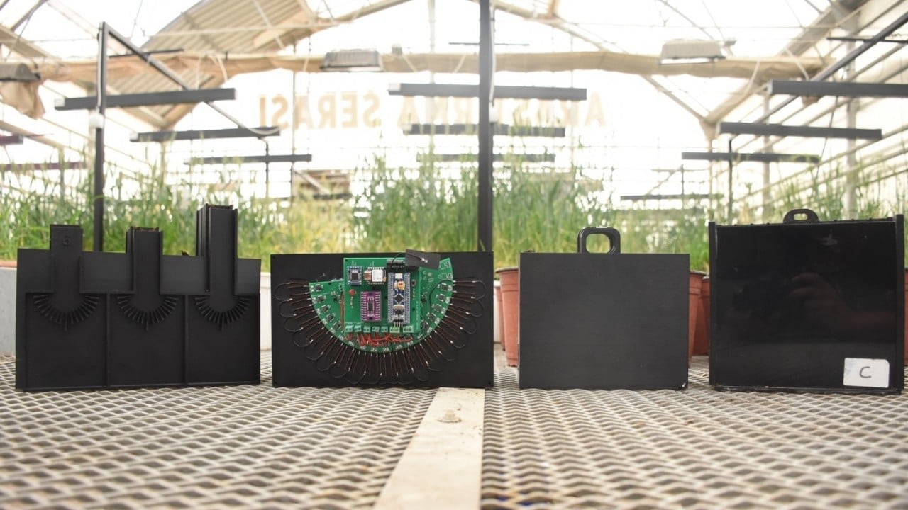 Foto - KMÜ’de buğday kök açılarını ölçen cihaz geliştirildi