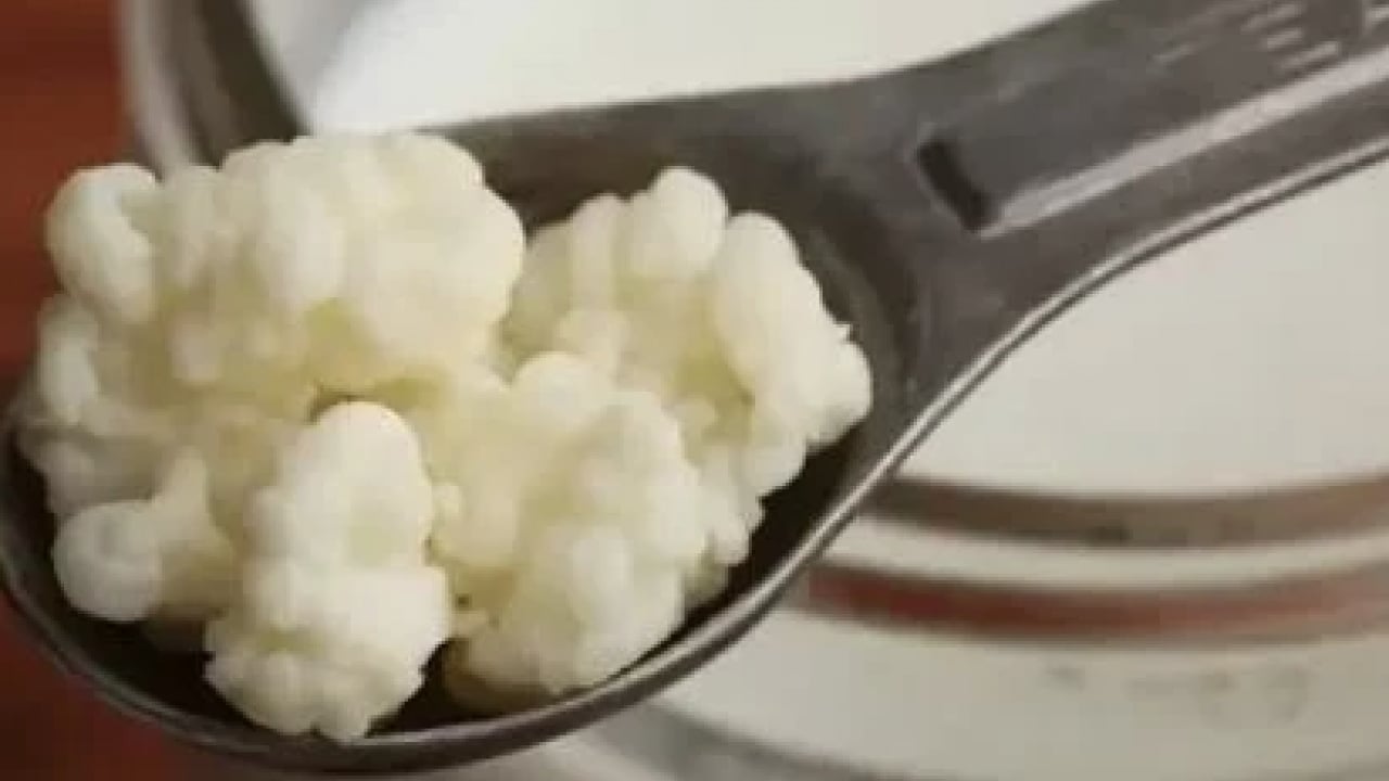Foto - 'Kobalamin' olarak da... Arkasında bu vitamin eksikliği yatıyor olabilir