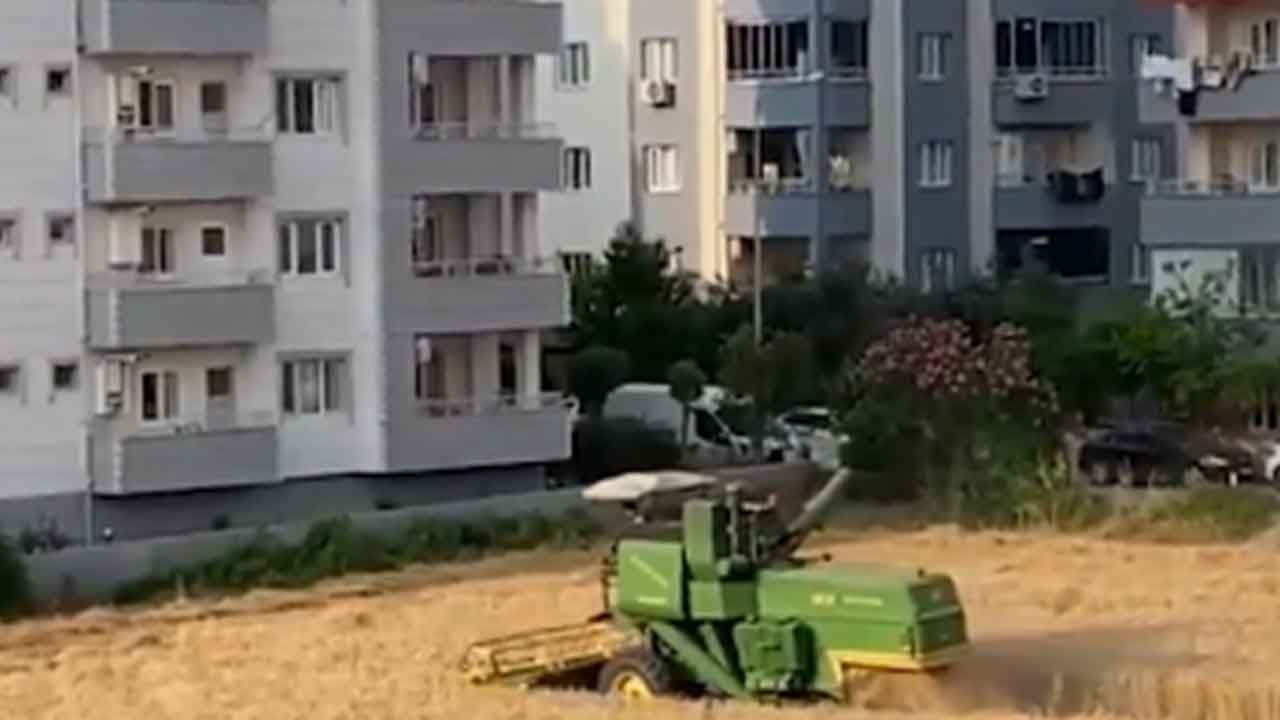 Foto - Koca apartmanların arasında kalan arsaya müteahhitler para yağdırdı: Sahibinin cevabı gündem oldu