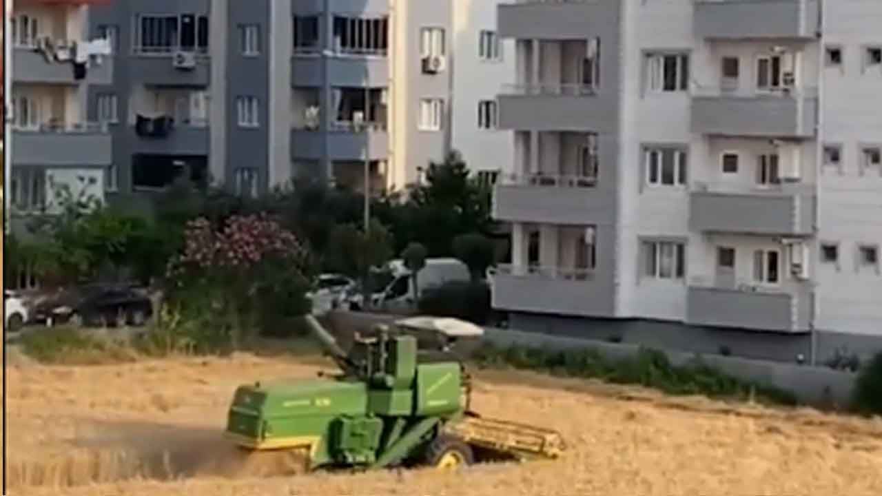 Foto - Koca apartmanların arasında kalan arsaya müteahhitler para yağdırdı: Sahibinin cevabı gündem oldu