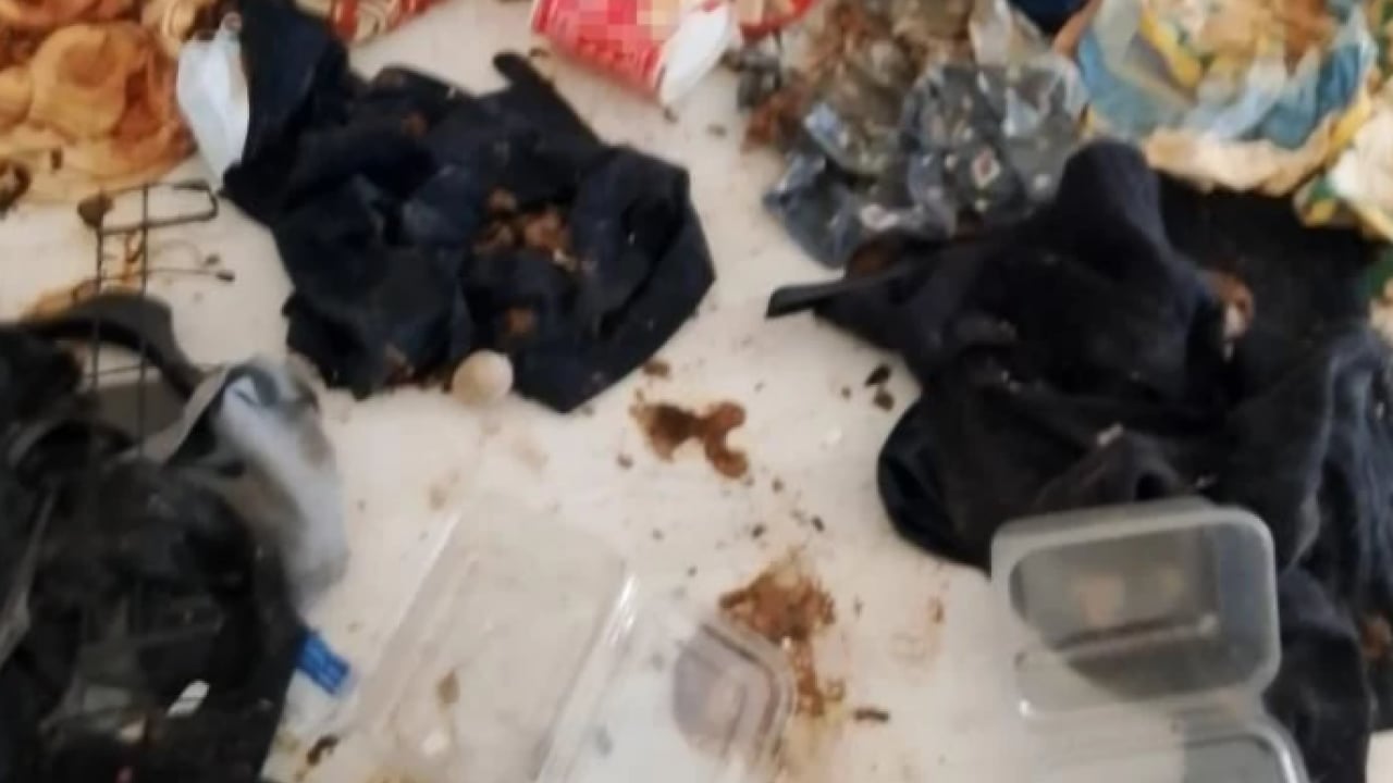 Foto - Koku ihbarına giden polis neye uğradığını şaşırdı