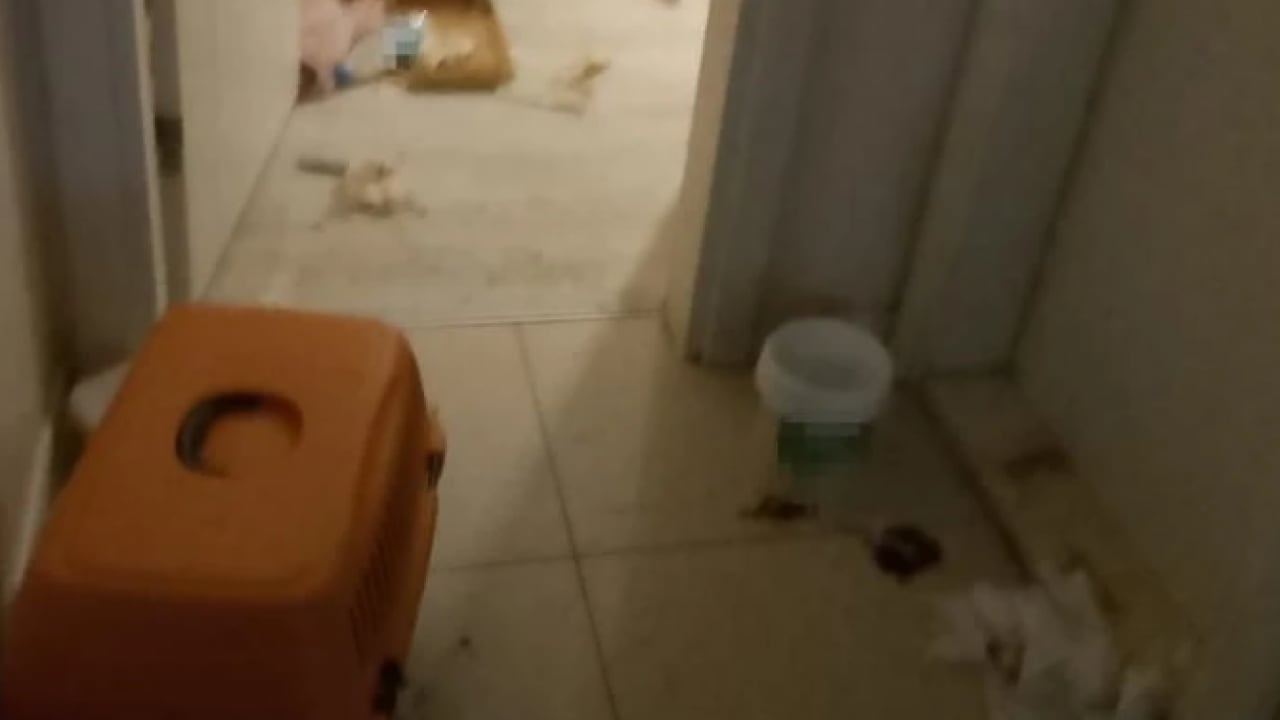 Foto - Koku ihbarına giden polis neye uğradığını şaşırdı