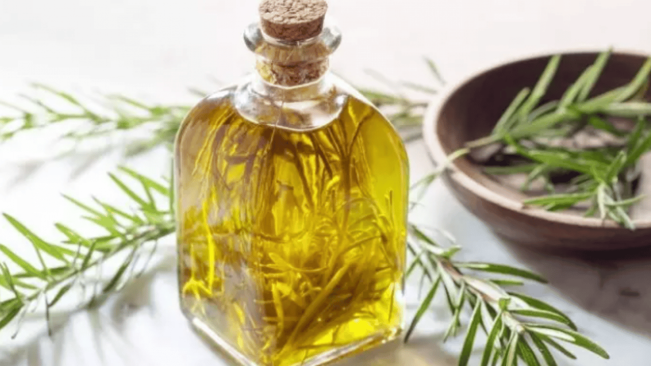 Foto - Kokusunu alan hiçbir şey unutmuyor: İşte zihni güçlendiren mucize bitki!