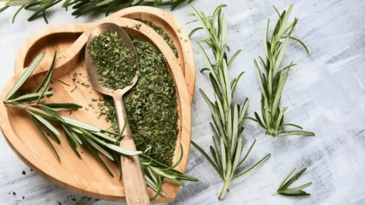 Foto - Kokusunu alan hiçbir şey unutmuyor: İşte zihni güçlendiren mucize bitki!