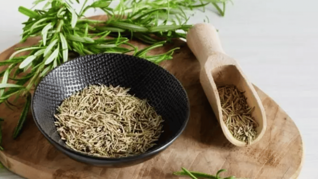 Foto - Kokusunu alan hiçbir şey unutmuyor: İşte zihni güçlendiren mucize bitki!