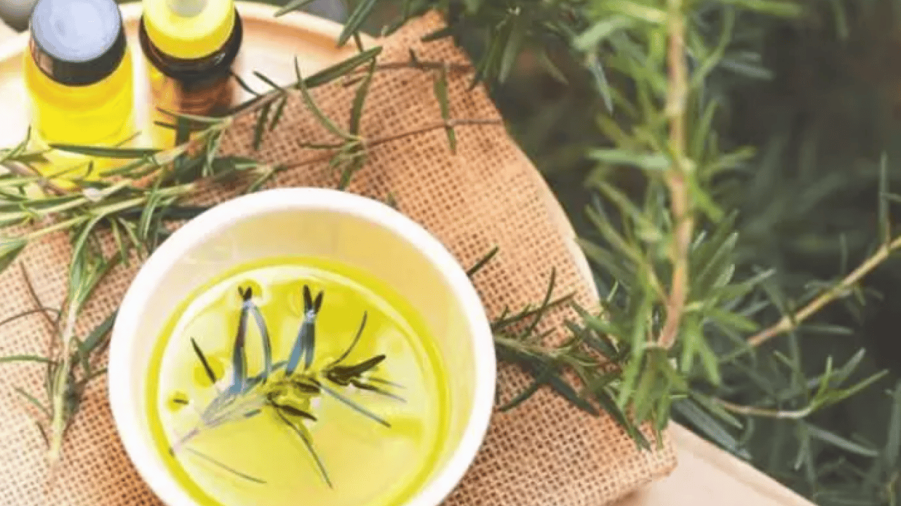 Kokusunu alan hiçbir şey unutmuyor: İşte zihni güçlendiren mucize bitki!