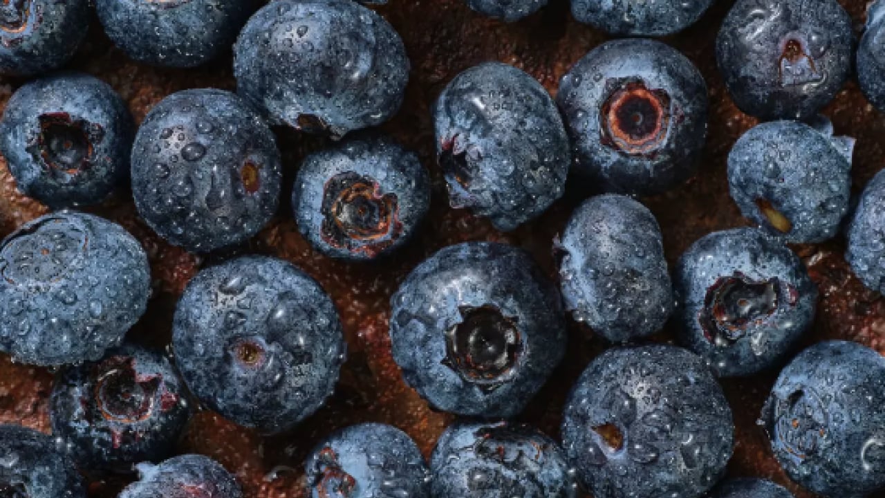 Foto - Kolesterolü düşüren 10 besin! Damarlar bayram edecek, kalbi zırh gibi koruyor: Müthiş şifa kaynakları...