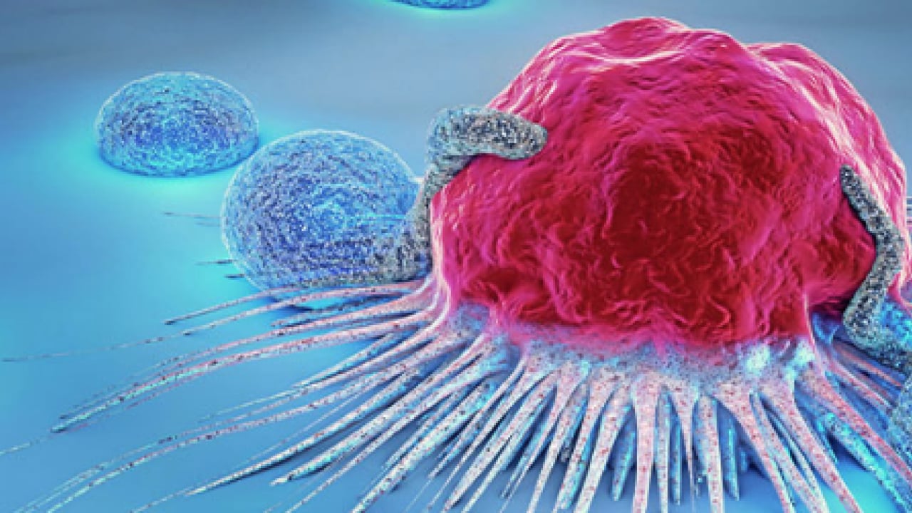 Foto - Kolorektal kanser uyarısı: Sağlık Bakanlığı uyardı: Her yıl yaklaşık 1,9 milyon yeni vaka...