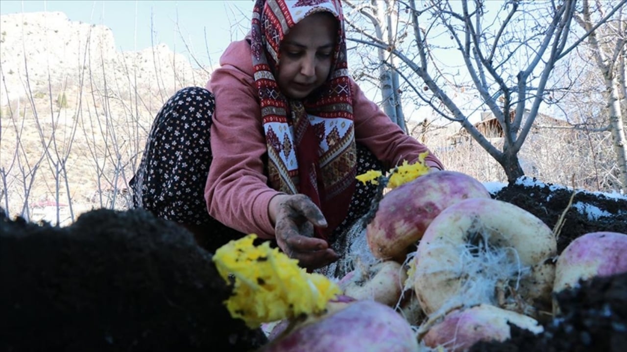 Foto - Konya’da asırlardır bozulmayan sır! Büyük çuvallar halinde toprak altına gömüyorlar, kışın çıkarıyorlar: "İlk günkü gibi duruyor"