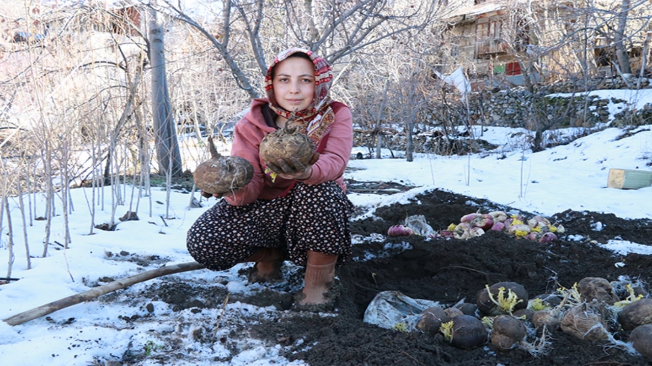 Foto - Konya’da asırlardır bozulmayan sır! Büyük çuvallar halinde toprak altına gömüyorlar, kışın çıkarıyorlar: "İlk günkü gibi duruyor"