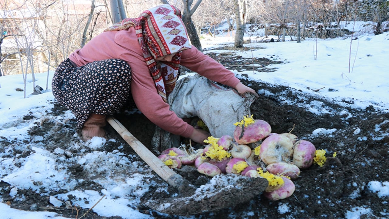 Foto - Konya’da asırlardır bozulmayan sır! Büyük çuvallar halinde toprak altına gömüyorlar, kışın çıkarıyorlar: "İlk günkü gibi duruyor"