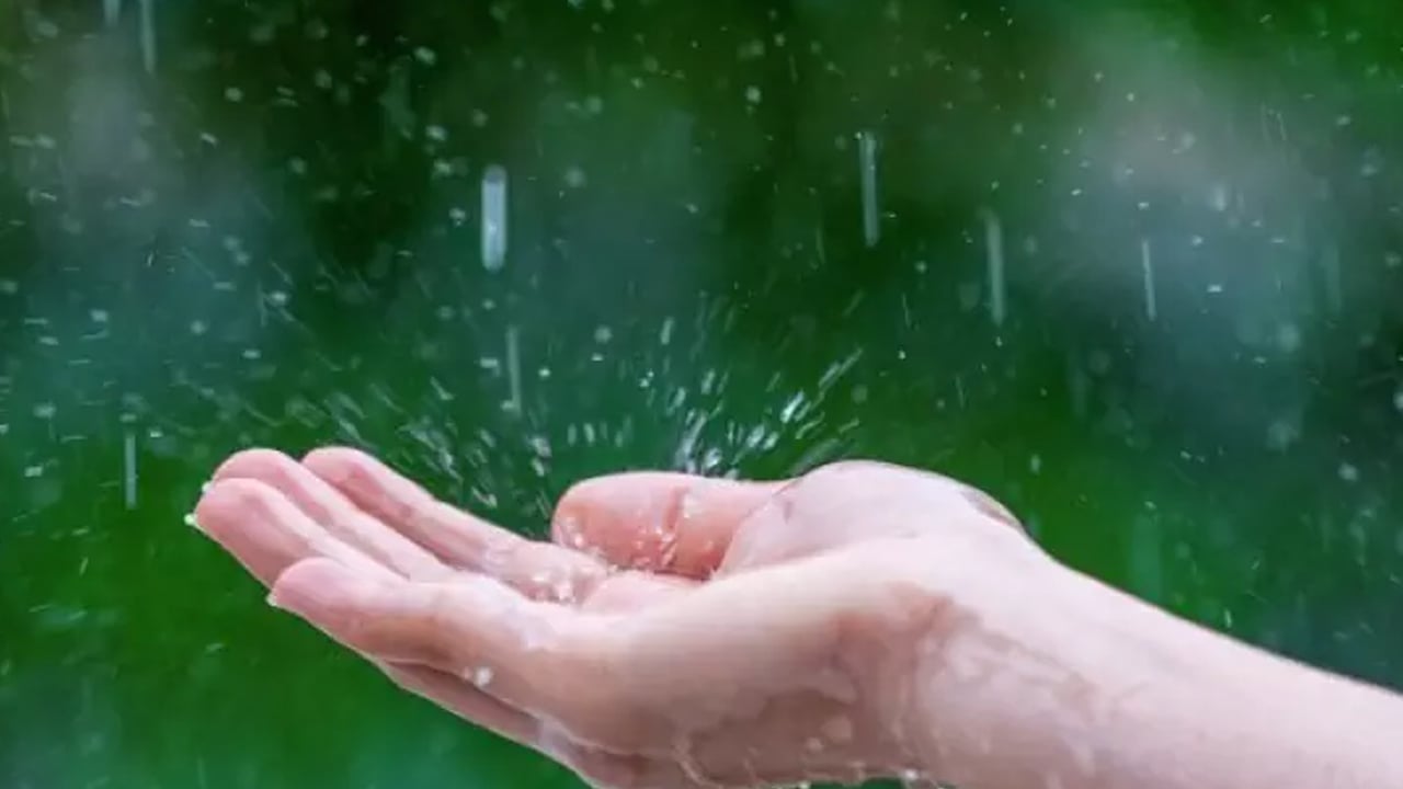 Konya'da düzenlenen yağmur duasında yüzlerce kişi toplandı! Yüce Allah’a el açıp dua edildi: Yarın yağan yağışlar sevindirecek