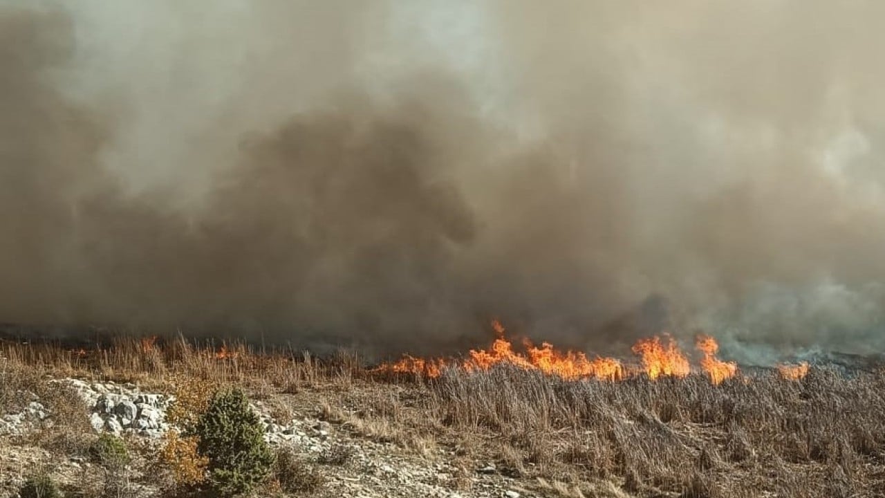 Foto - Konya’da iki yangın birden