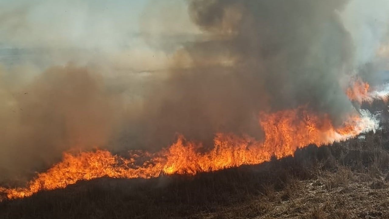 Foto - Konya’da iki yangın birden