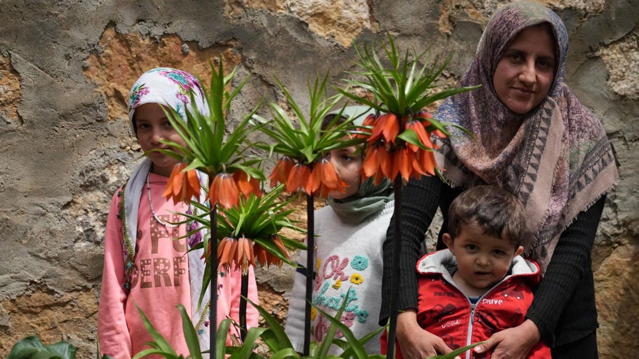 Foto - Koparmanın cezası 700 bin lira! Kendi bahçelerinde ters lalelere gözleri gibi bakıyorlar