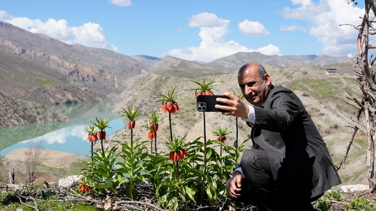 Foto - Koparmanın cezası 700 bin lira! Ters laleler doğayı böyle renklendirdi