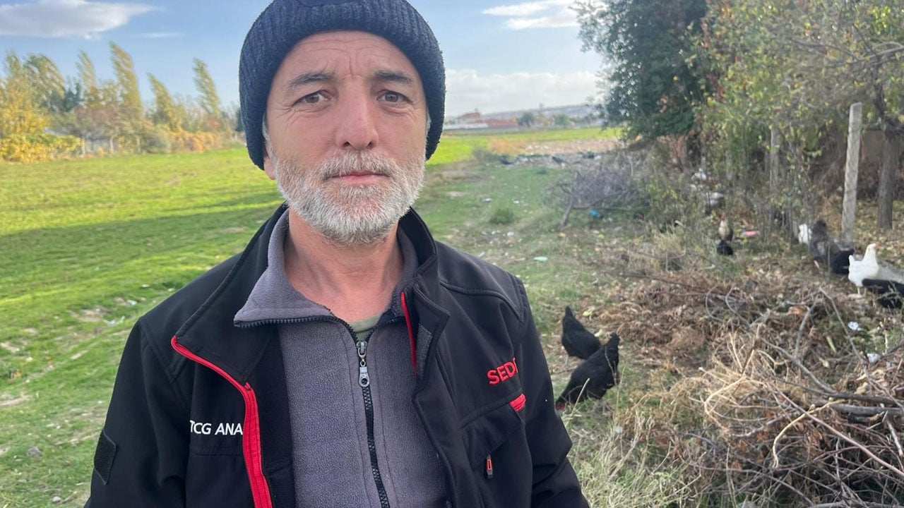 Foto - Köpek korkusu büyüyor! Tavukları korumak için çoban gibi nöbet