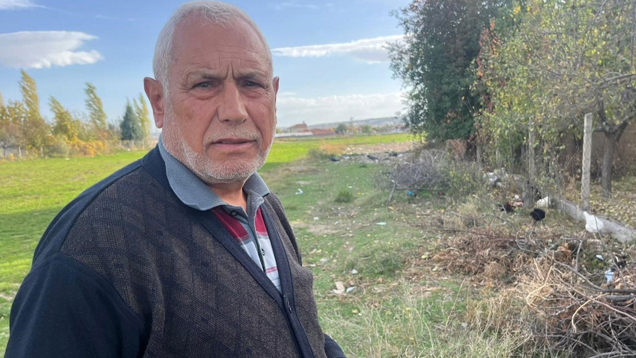 Foto - Köpek korkusu büyüyor! Tavukları korumak için çoban gibi nöbet