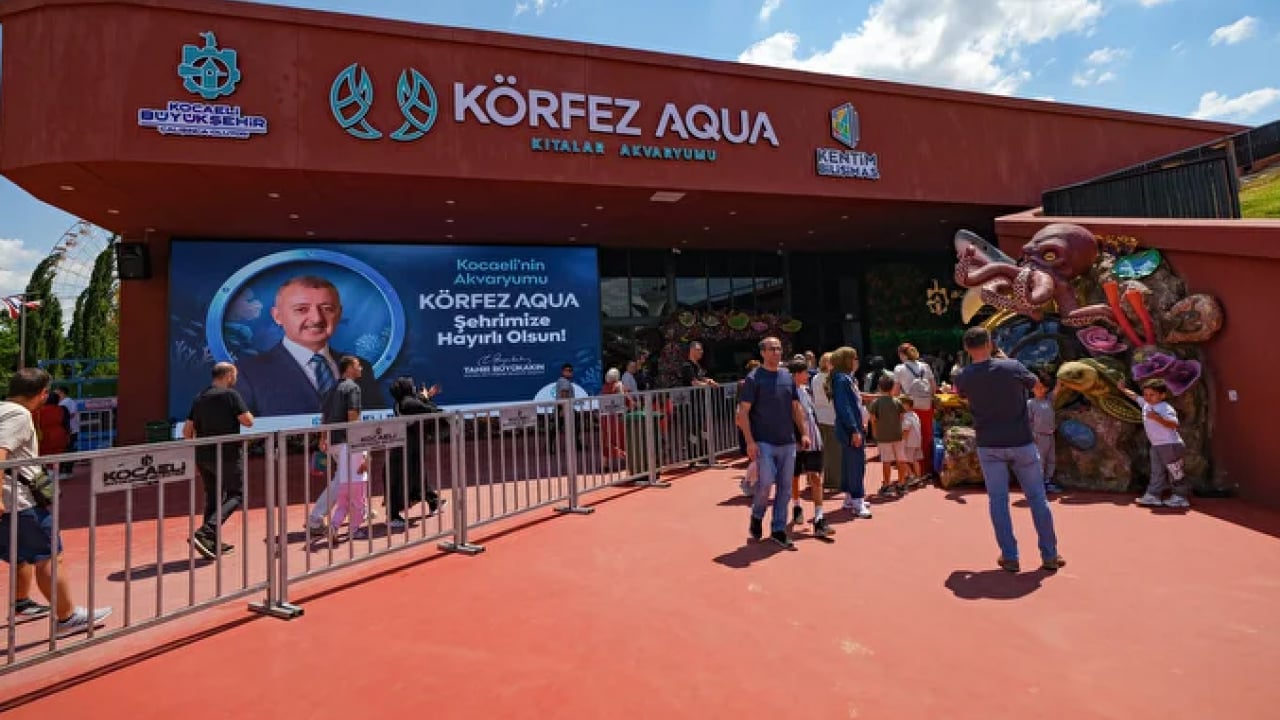 Foto - Körfez Aqua’dan enfes manzaralar! Kocaeli'de su altının yeni vitrini