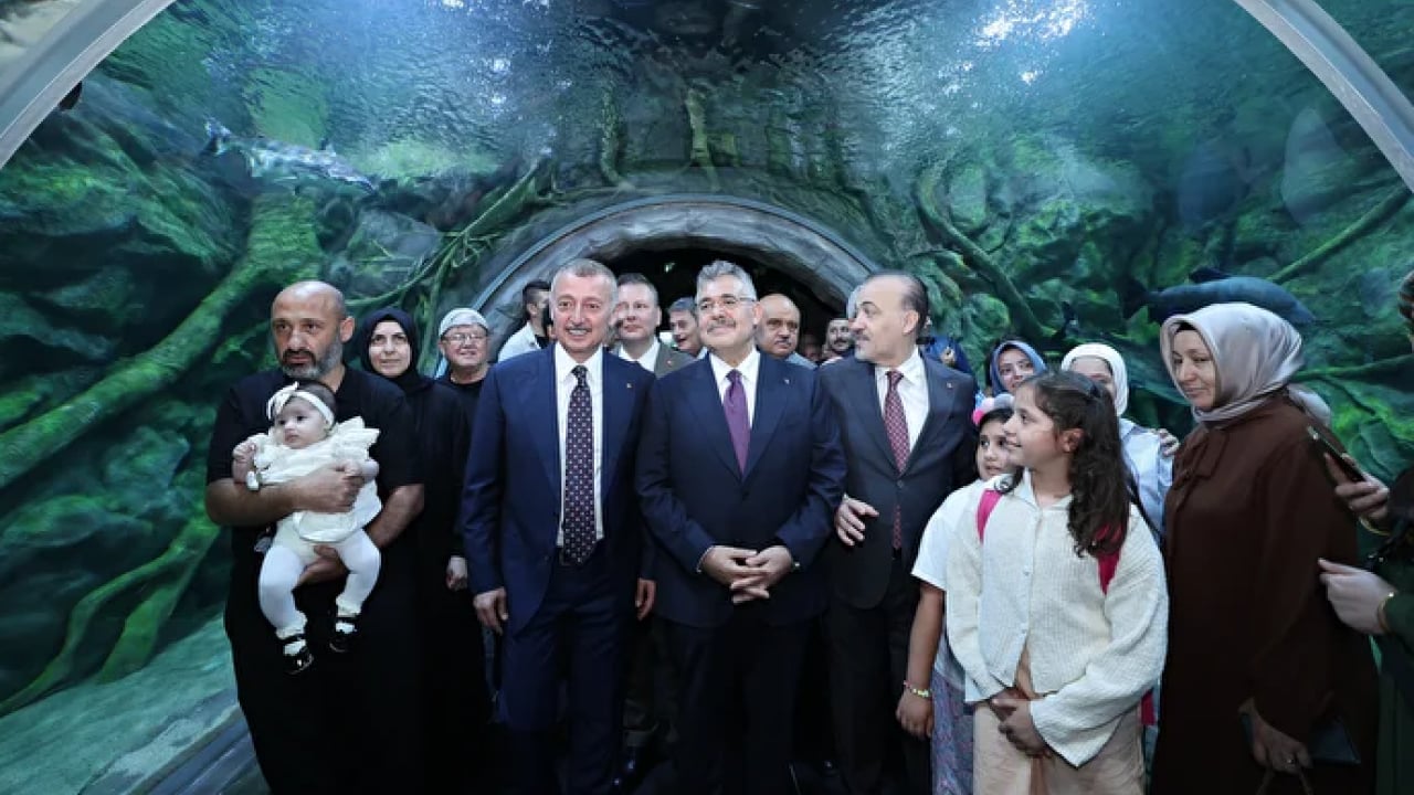 Foto - Körfez Aqua’dan enfes manzaralar! Kocaeli'de su altının yeni vitrini