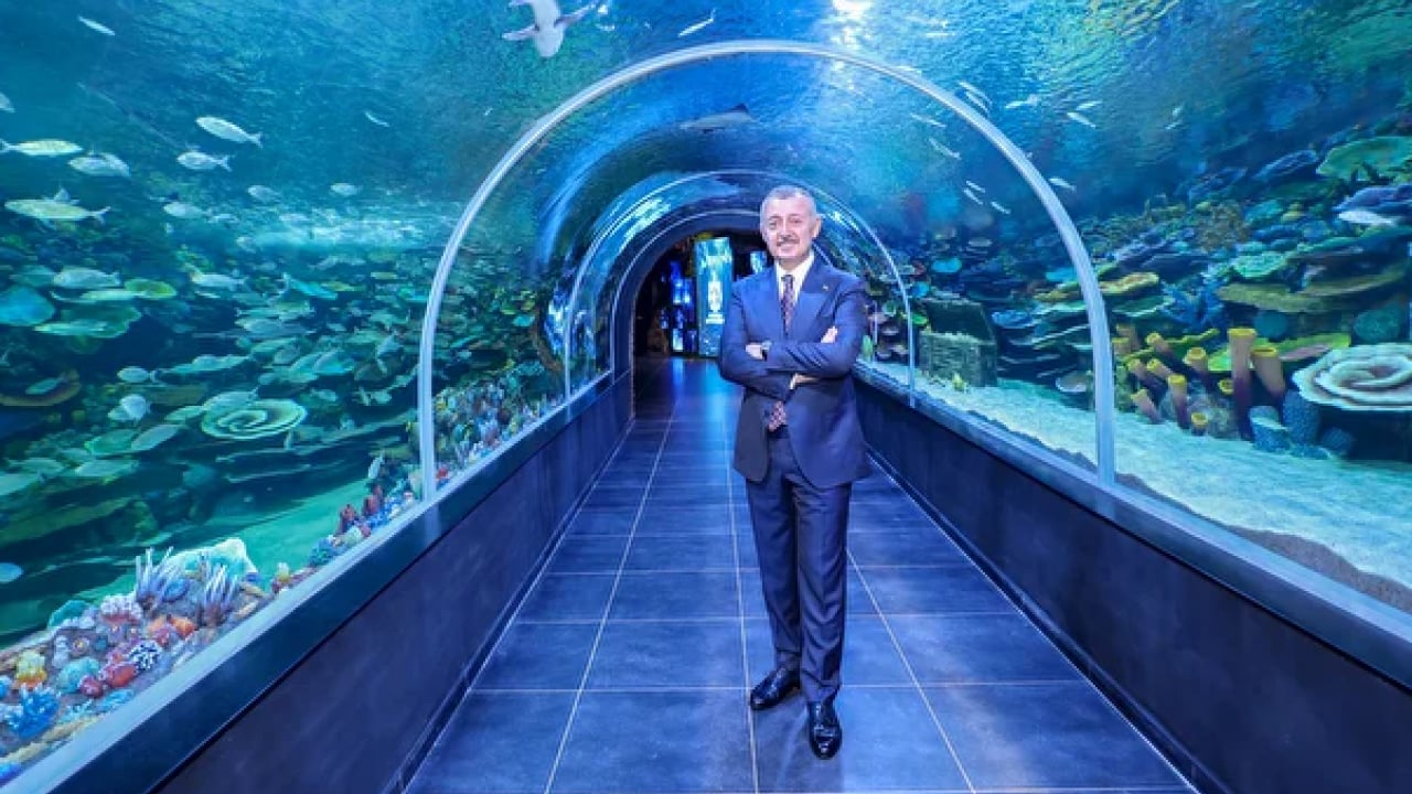 Foto - Körfez Aqua’dan enfes manzaralar! Kocaeli'de su altının yeni vitrini
