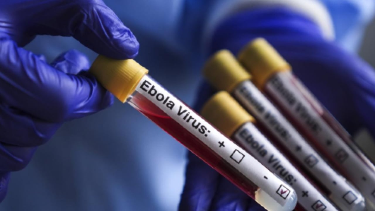 Foto - Korkunç bilanço resmen açıklandı: Ebola salgını 1 ayda ülkeyi esir aldı