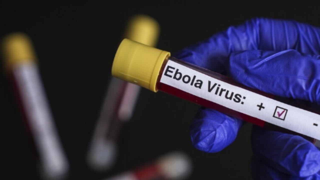 Foto - Korkunç bilanço resmen açıklandı: Ebola salgını 1 ayda ülkeyi esir aldı